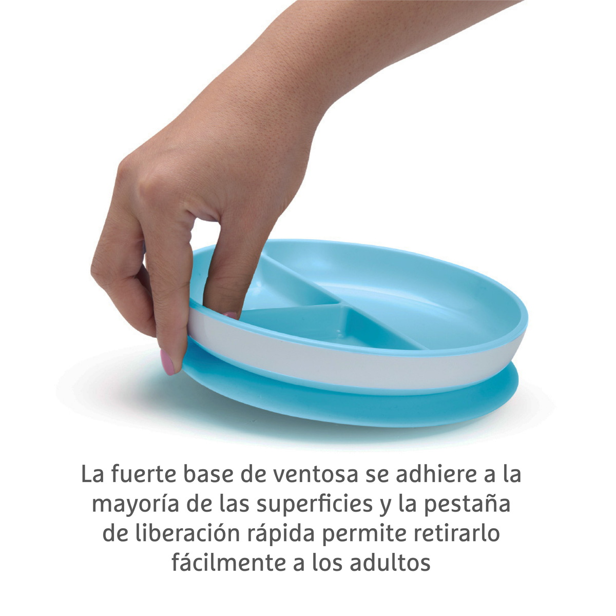 Plato Antideslizante Stay Put